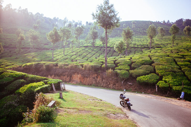 A motorbike moves along a hill road below green Munnar tea fields at Top Station. print option