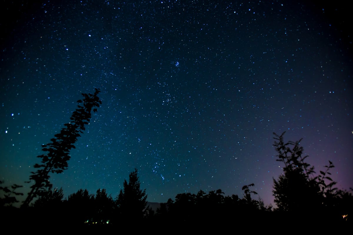 Stars sit over a dark treeline in Tappen, BC, just outside Salmon Arm. print option