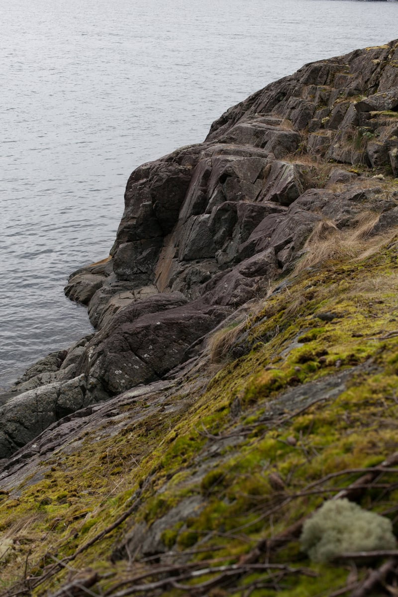 Moss and dark coastal rock look out toward quiet Sunshine Coast water. print option