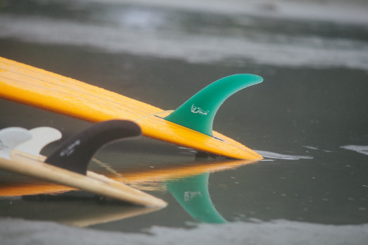 Yellow and green surfboard fins skim wet sand on the Pacific edge. print option