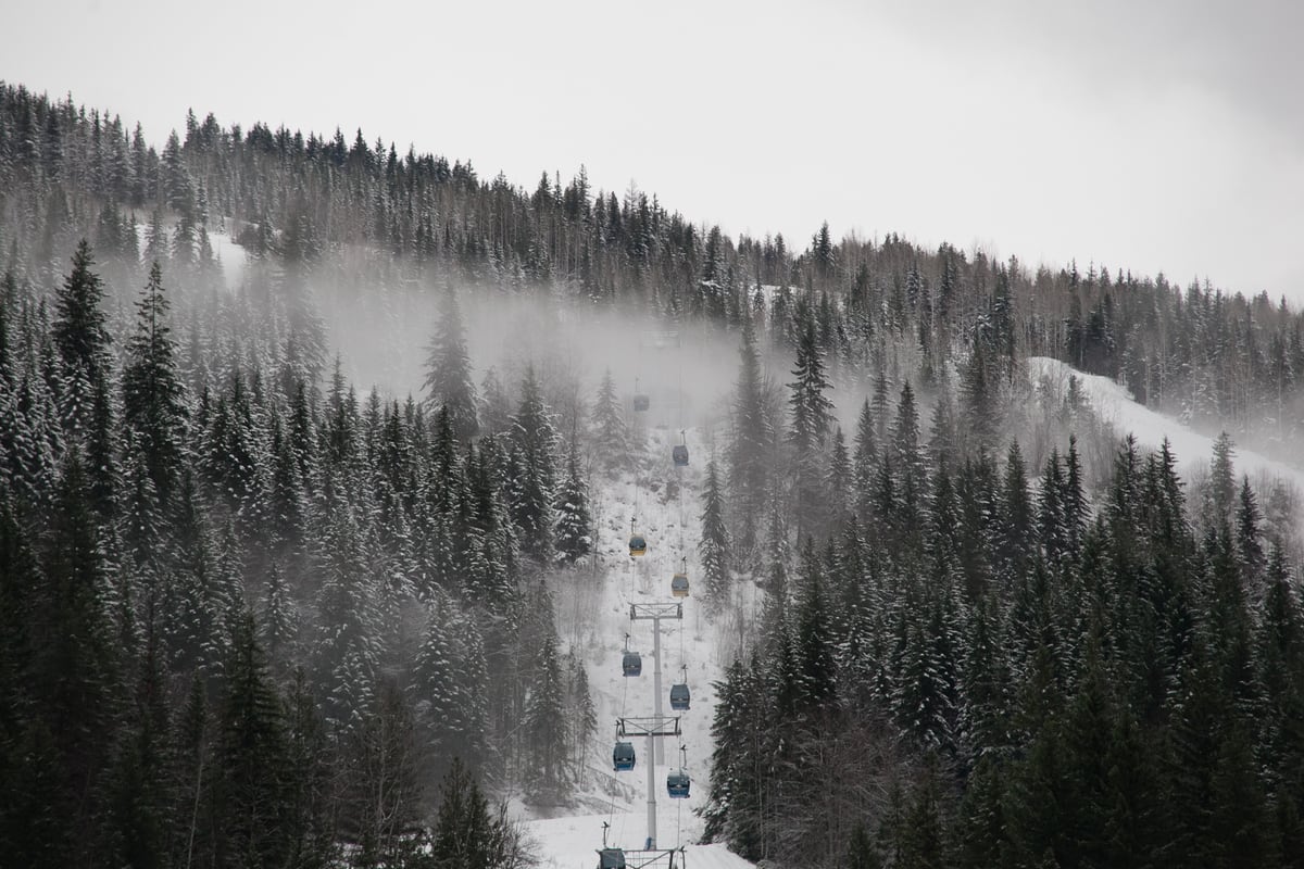 A black-and-white snowline and ski run view near Field in Yoho country. print option