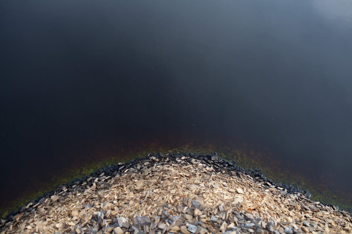 A pale shore curve with a possible oil-slick sheen inside a cut block landscape outside Thunder Bay, carrying an environmentalist unease. print option