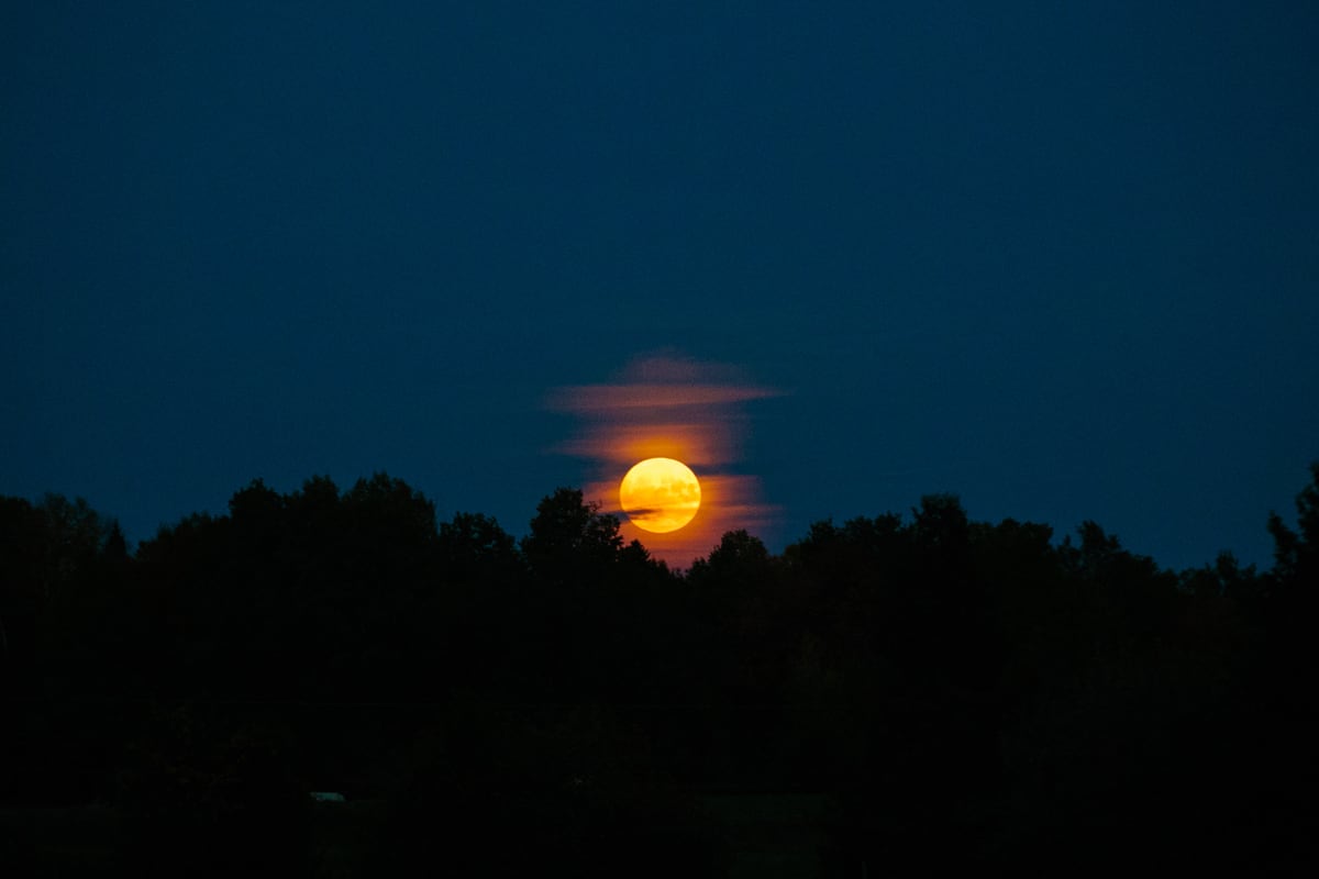 A large moonrise burns like a sun or a moon on fire above a dark Peterborough treeline. print option