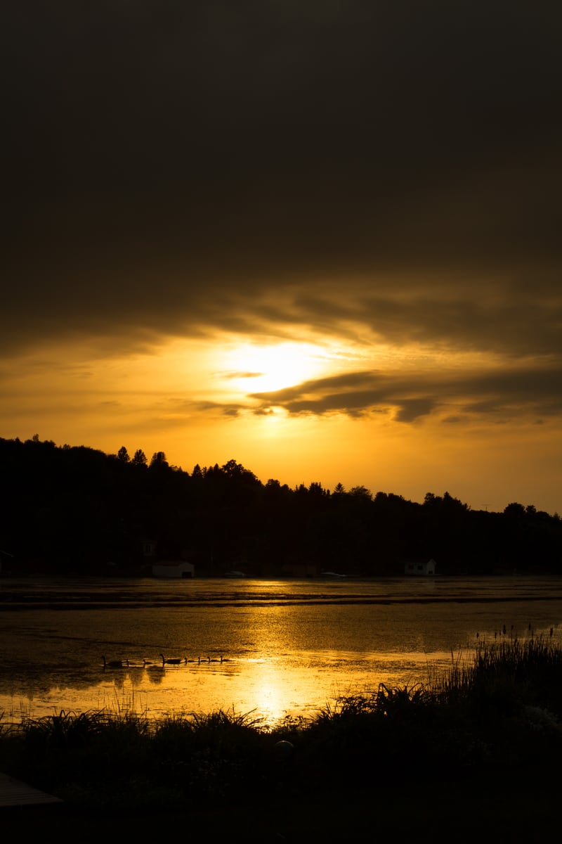 A golden sun drops over a dark Peterborough lake and treeline. print option