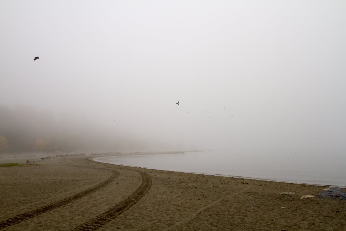 Tire tracks and a foggy Vancouver shoreline disappear into pale water and mist. print option