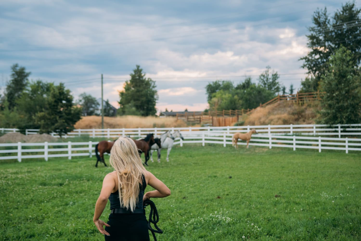 Ashton at the Ranch portraits story frame 13: Ranch portraits for Ashton in Kelowna, with horses, open pasture, quiet country styling and Okanagan light shaped into a grounded portrait story.