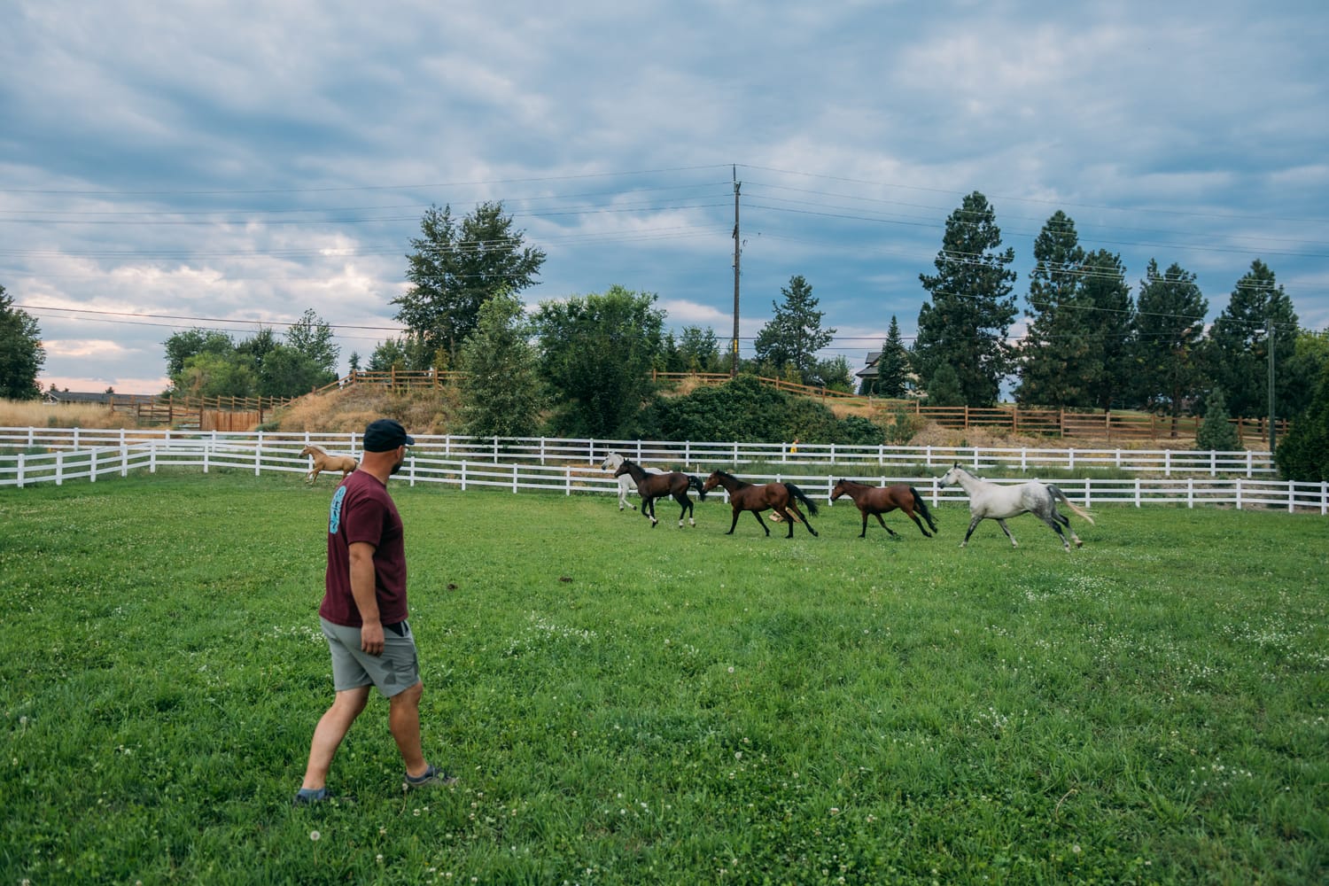 Ashton at the Ranch portraits story frame 14: Ranch portraits for Ashton in Kelowna, with horses, open pasture, quiet country styling and Okanagan light shaped into a grounded portrait story.