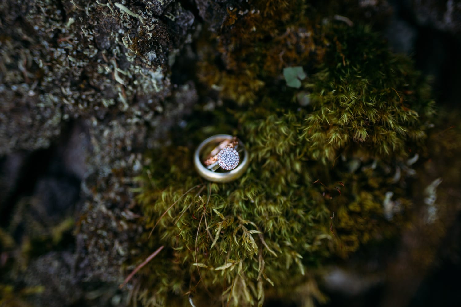 Carmel and Chris weddings story frame 6: A Sicamous and Shuswap Lake houseboat wedding that moved from water to beach, with friend-community overlap and a relaxed lakeside feeling..
