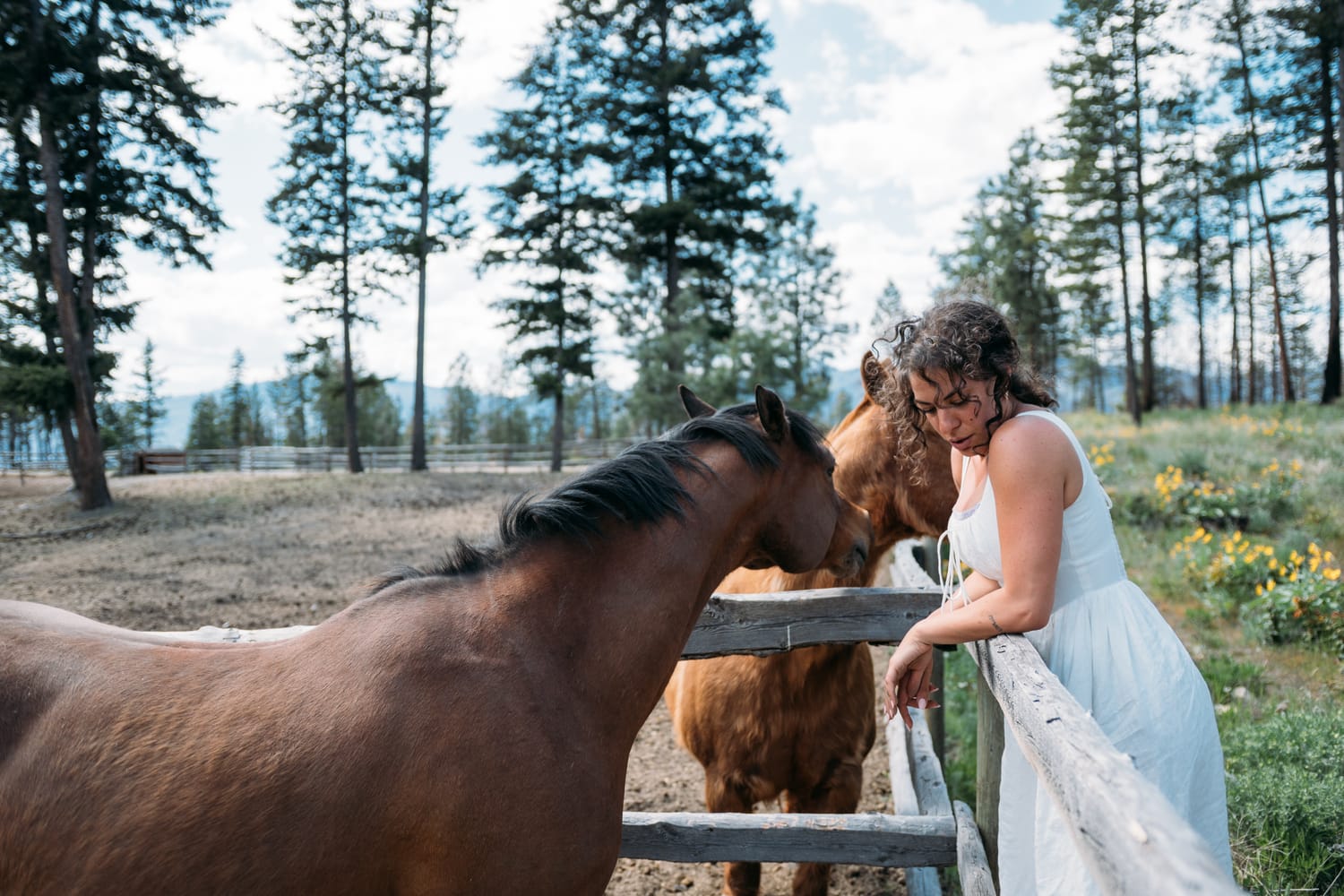 Giuliana at LoveReins portraits story frame 3: Equestrian portrait session at Love Reins Ranch in Lake Country, BC, with Giuliana, horses, white-dress portraits, Western cowgirl styling, ranch fencing, riding frames and warm Okanagan light..