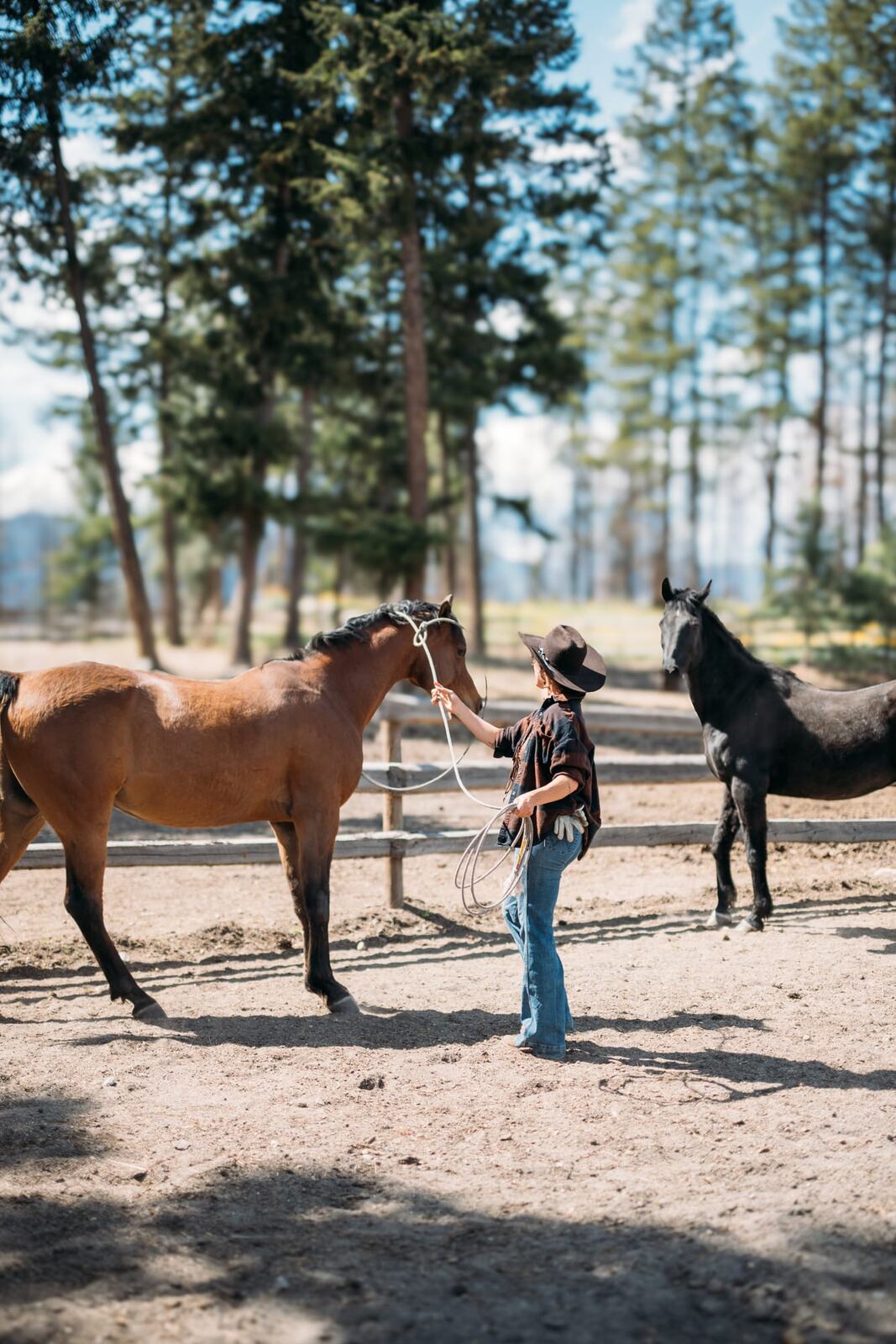 Giuliana at LoveReins portraits story frame 9: Equestrian portrait session at Love Reins Ranch in Lake Country, BC, with Giuliana, horses, white-dress portraits, Western cowgirl styling, ranch fencing, riding frames and warm Okanagan light..