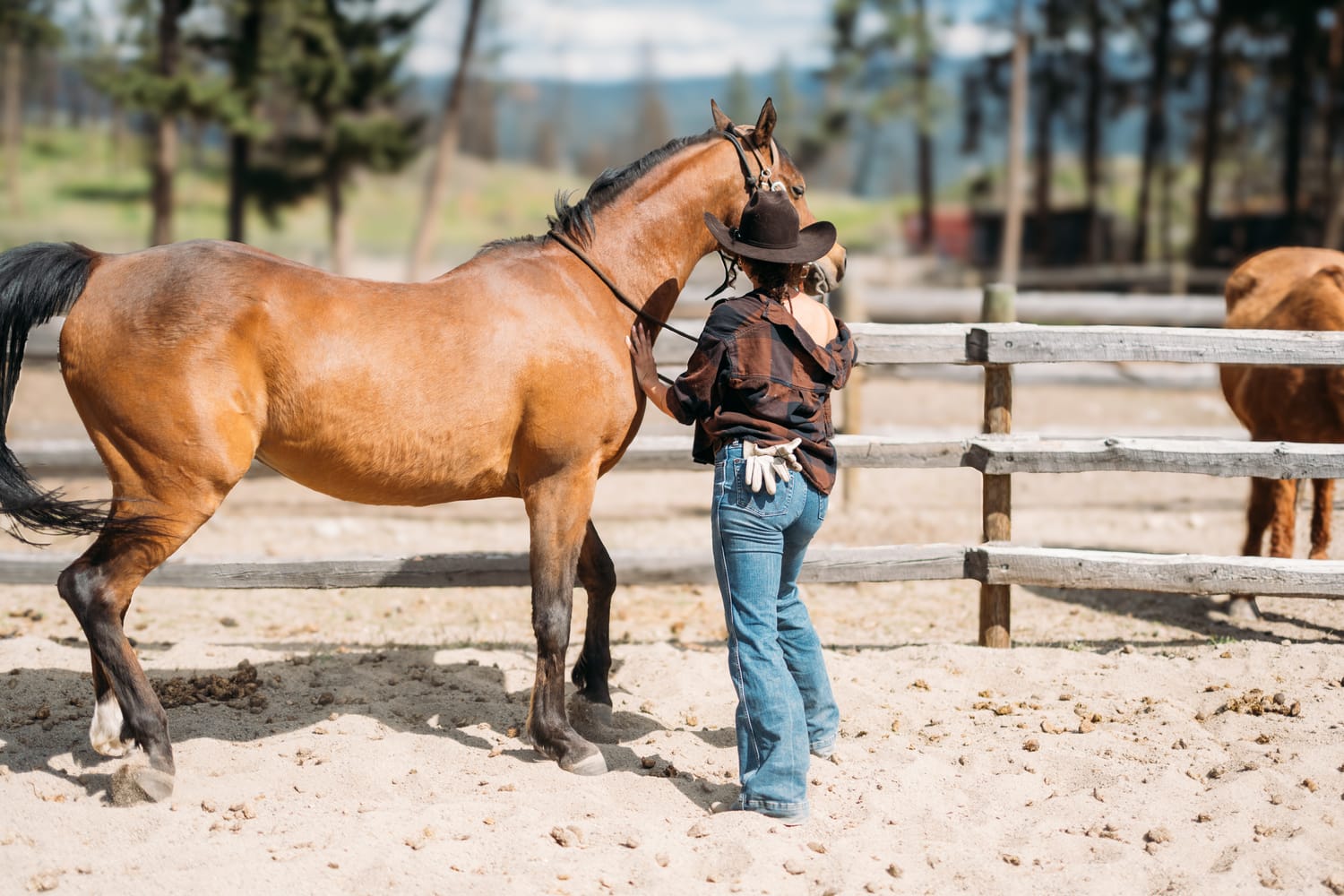 Giuliana at LoveReins portraits story frame 12: Equestrian portrait session at Love Reins Ranch in Lake Country, BC, with Giuliana, horses, white-dress portraits, Western cowgirl styling, ranch fencing, riding frames and warm Okanagan light..