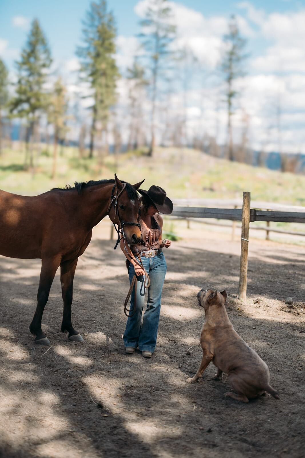 Giuliana at LoveReins portraits story frame 18: Equestrian portrait session at Love Reins Ranch in Lake Country, BC, with Giuliana, horses, white-dress portraits, Western cowgirl styling, ranch fencing, riding frames and warm Okanagan light..