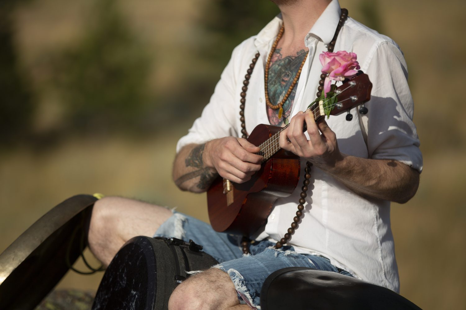 Jacob's hands, ukulele and a rose in close detail.
