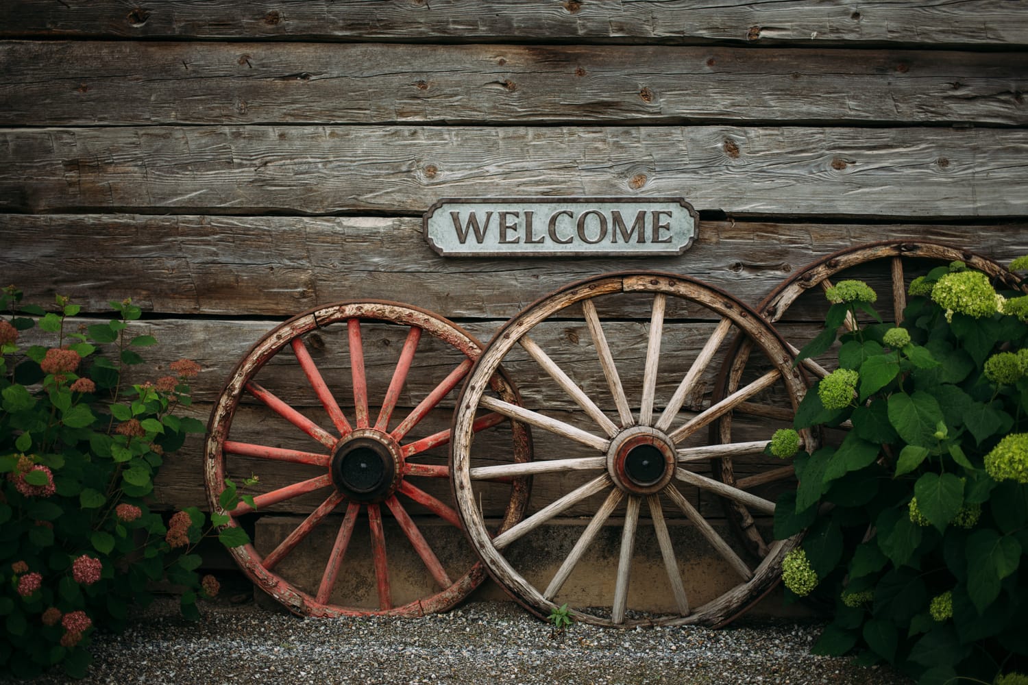 Leslie and Gerome weddings story frame 6: A Brook & Barn - Casorso Heritage Farm wedding in Kelowna, with orchard details, outbuildings, lawn games and a familiar friend-party feeling..