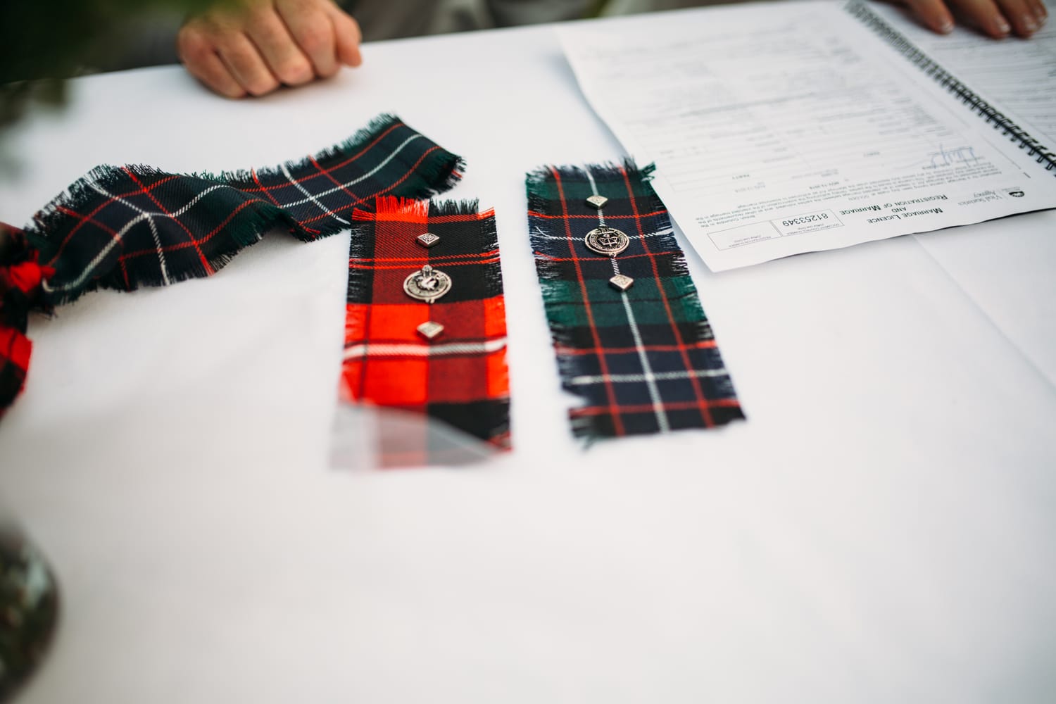 Marie and Mark weddings story frame 18: A Mabel Lake Airpark wedding in the North Okanagan, with grass-runway scenery, open-air photos and sweet family help around makeup, flowers and petals..