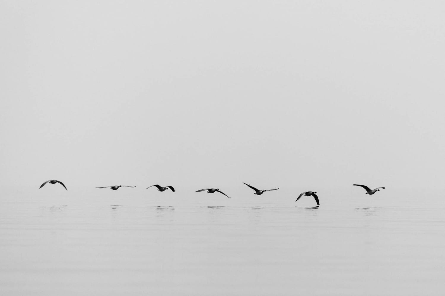Megan Shallow portraits story frame 16: A fog-soft Kelowna lake portrait session for Megan Shallow, with water, orange dress movement, close body-language frames and quiet birds cutting through the mist.