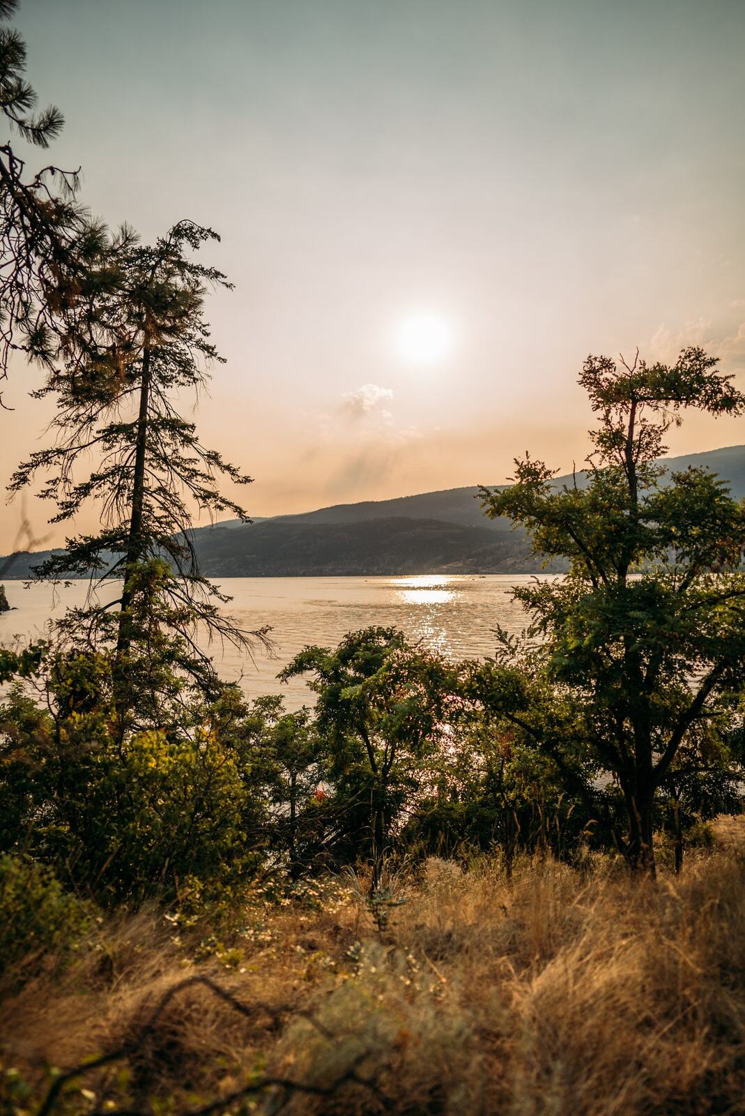 The Living Narrative, Sol corporate story frame 18: Personal-brand photography for The Living Narrative in Kelowna, with Sol in warm Okanagan light, lakeside portrait range and profile-ready images for creative business use..