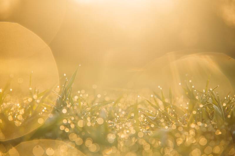 Golden horizon at Presqu'ile Provincial Park print option